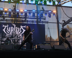 Typhus