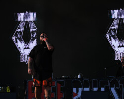 Lobo