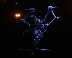 W.A.S.P.