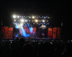 W.A.S.P.
