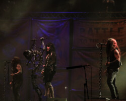 W.A.S.P.